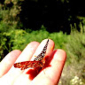 Meet your Posher, Jessica